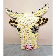 Vache Montbéliarde 